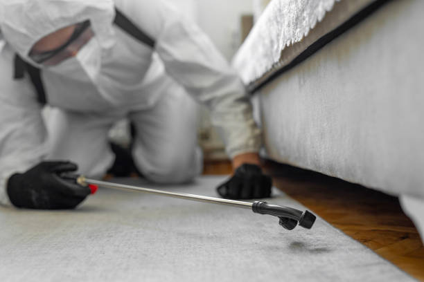 Professional Termite Control technician working in Cocoa, FL