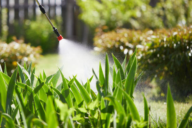 24/7 Emergency Termite Control experts in Cocoa, FL