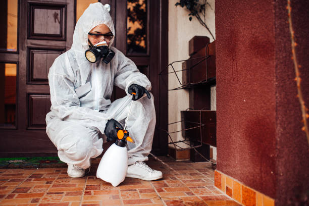 Reliable Termite Control contractor in Cocoa, FL by Nex Pest Control